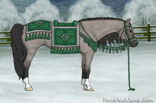 Horse Color:Grullo Roan 