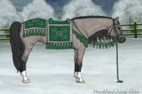 Horse Color:Grullo Roan 