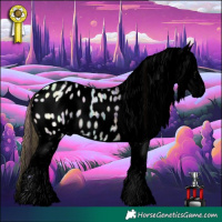 Horse Color:Void Watercolor Plaid  White Spotted Buckskin Ice Dun Tobiano Appaloosa 