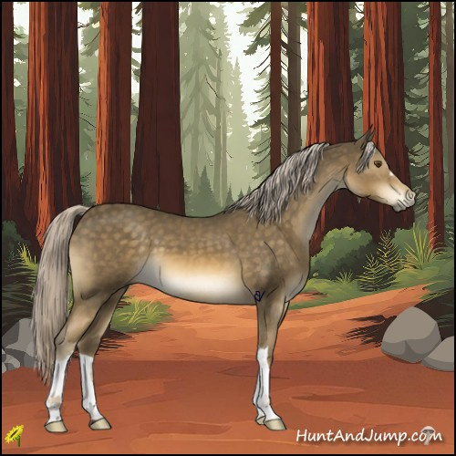 Horse Color:Chocolate Palomino Mushroom 