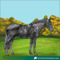 Horse Color:ERROR: UNKNOWN ANOMALY