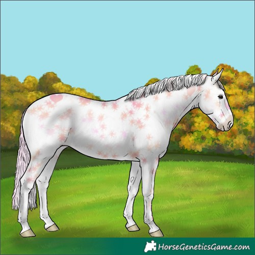 Horse Color:Watercolor Liver Red Onyx Sabino