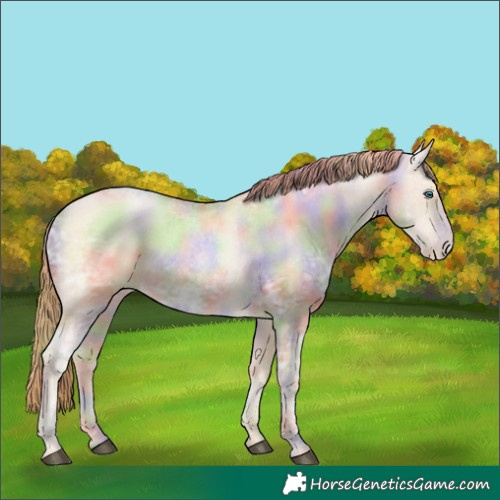 Horse Color:Nacre Buckskin Ice Pearl