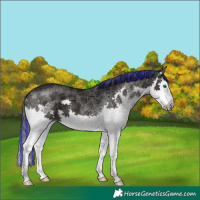 Horse Color:Painted Black Ice Splash