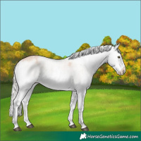 Horse Color:Silver Brown Pearl Sabino