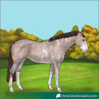 Horse Color:Chocolate Brown Dun Sabino 