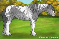 Horse Color:Brown Chinchilla Ice Sabino Tobiano 