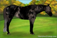 Horse Color:Void White Spotted Brown Dun Mushroom Blanket 