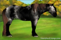 Horse Color:Void White Spotted Sable Champagne Dun Mushroom Varnish Rabicano 