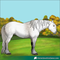 Horse Color:Gray Void Liver Red Dun Mushroom Sabino