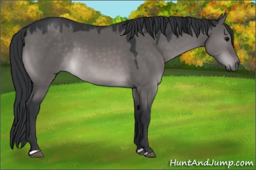Horse Color:Platinum Brown Dun 