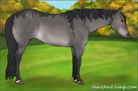 Horse Color:Platinum Brown Dun 