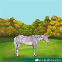 Horse Color:Watercolor White Spotted Silver Brown Ice Dun 