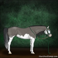 Horse Color:Grullo Roan Splash 