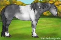 Horse Color:Brown Chinchilla Sabino Tobiano
