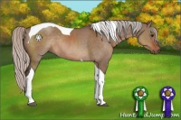 Horse Color:Silver Brown Dun Sabino Tobiano Rabicano 