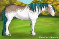 Horse Color:Painted White Spotted Bay Dun Sabino 