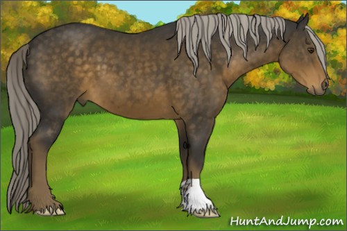 Horse Color:Chocolate Palomino 
