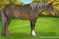 Horse Color:Chocolate Palomino 