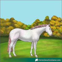 Horse Color:Painted Silver Sable Cream Champagne Ice Pearl Sabino 