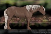 Horse Color:Silver Black 