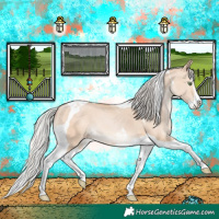 Horse Color:Silver Sable Champagne Dun Splash Tobiano 