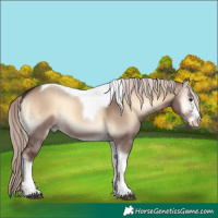 Horse Color:Liver Red Dun Onyx Mushroom Sabino Tobiano 