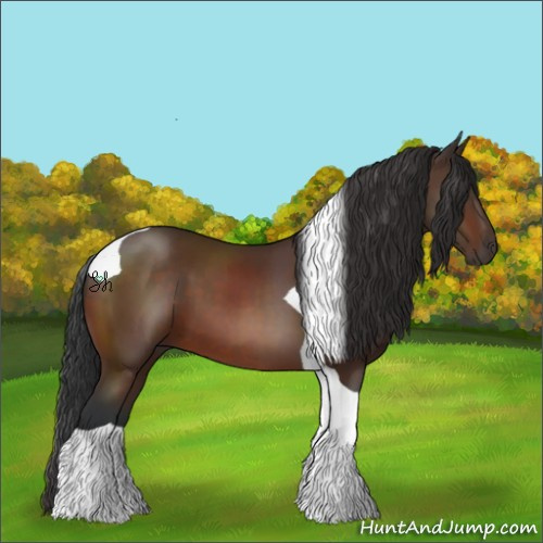 Horse Color:Brown Tobiano 