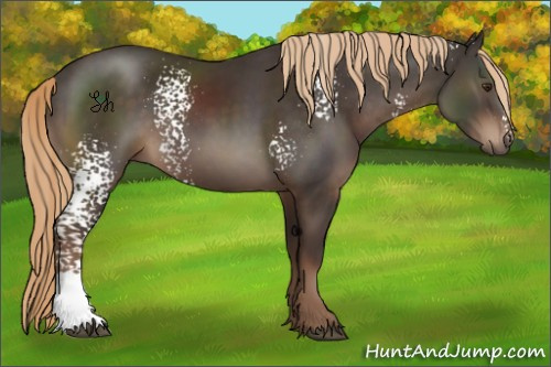 Horse Color:White Spotted Liver Chestnut 