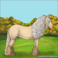 Horse Color:Gold Cream Champagne Dun 