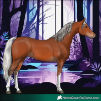 Horse Color:White Spotted Silver Bay 