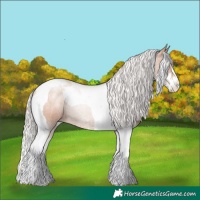 Horse Color:Silver Brown Pearl Sabino Tobiano 
