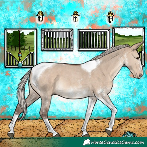 Horse Color:Silver Brown Dun Sabino Tobiano 