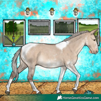 Horse Color:Silver Brown Dun Sabino Tobiano 