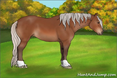 Horse Color:Silver Brown 