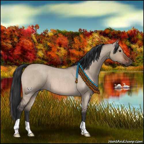 Horse Color:Brown Roan Dun 