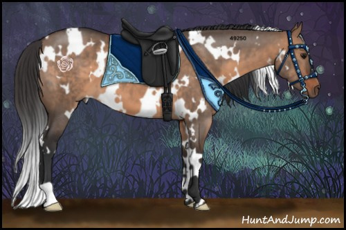Horse Color:White Spotted Brown Dun 