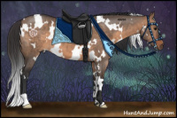 Horse Color:White Spotted Brown Dun 