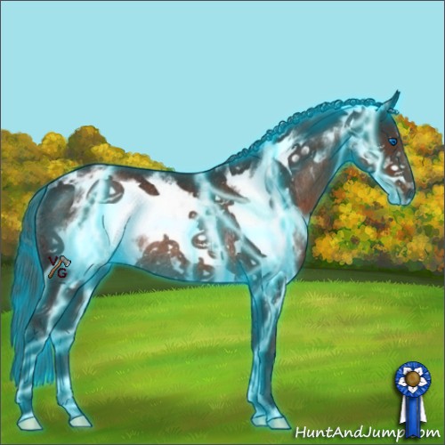 Horse Color:Thunderstruck Liver Chestnut Frame Rabicano 