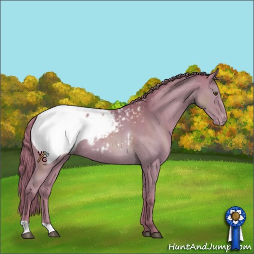 Horse Color:Watercolor Liver Chestnut Appaloosa Rabicano 