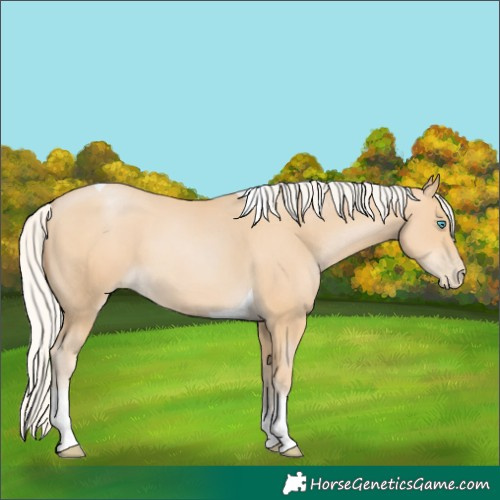 Horse Color:Silver Smoky Black Pearl Tobiano 