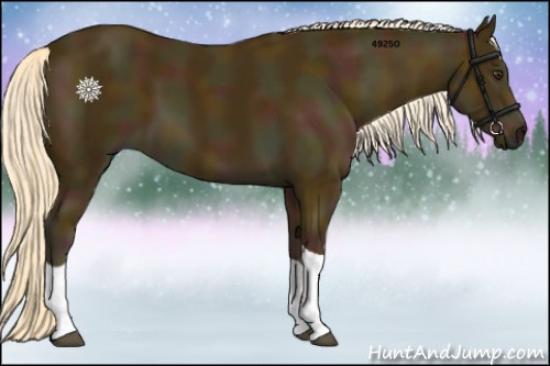 Horse Color:Midnight Palomino Tobiano 