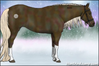 Horse Color:Midnight Palomino Tobiano 