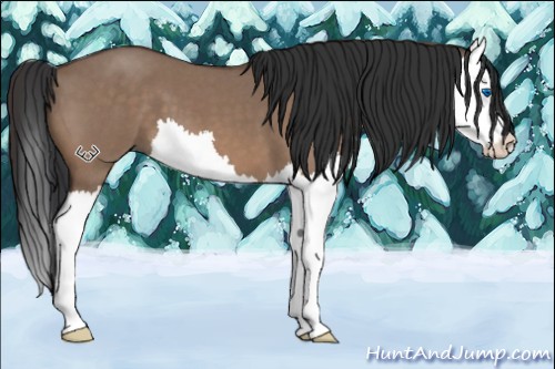 Horse Color:Brown Roan Dun Splash 