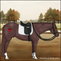 Horse Color:Chocolate Black 