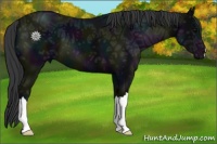Horse Color:Midnight Black Ice 