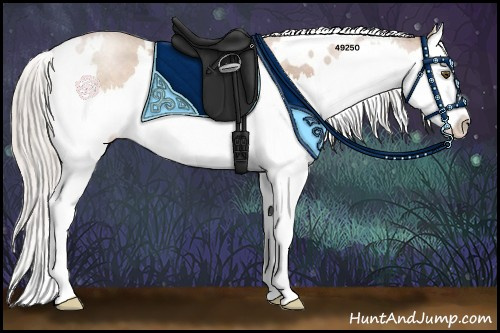 Horse Color:White Spotted Silver Brown Pearl Splash 