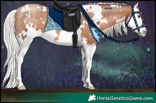 Horse Color:White Spotted Silver Brown Pearl Splash
