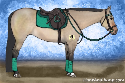 Horse Color:Brown Dun Rabicano