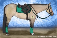 Horse Color:Brown Dun Rabicano 